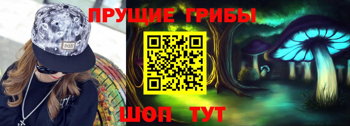 Баксан  Галлюциногенные грибы Psilocybine cubensis  Галлюциногенные грибы мухоморы  Вход с VPN 